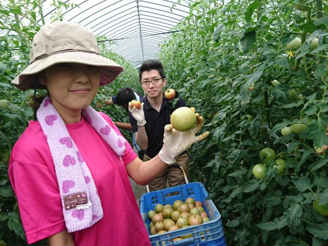 モスの産直野菜フェスタ～福島県南会津・南郷トマト編