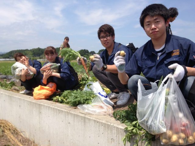 「野菜くらぶ収穫祭」今年も参加しました！