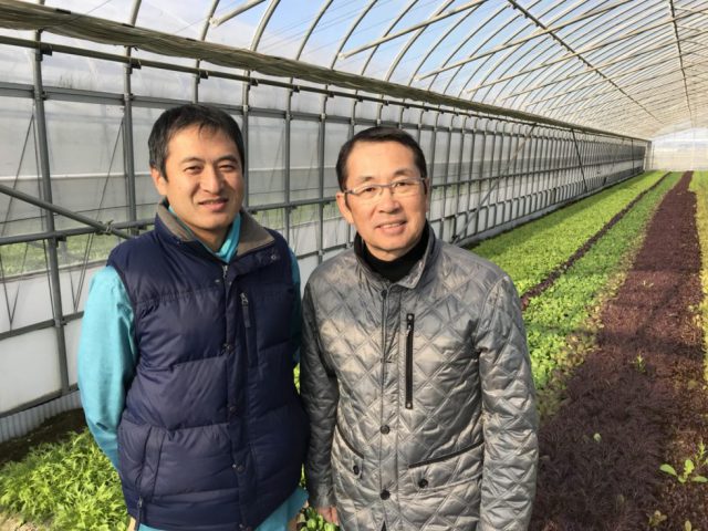 新しいブランド野菜、他にはないこだわり野菜を！！