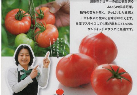 昔懐かしい味わい！愛知の伝統野菜「ファーストトマト」 | 株式会社まつの