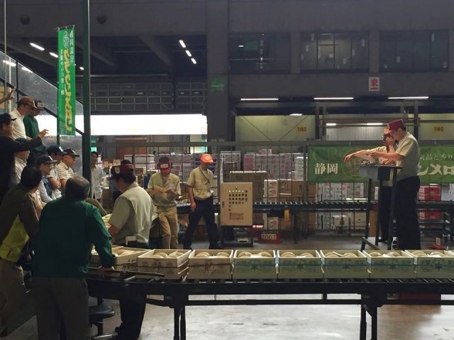 まつの社員・野菜ソムリエ合同研修会