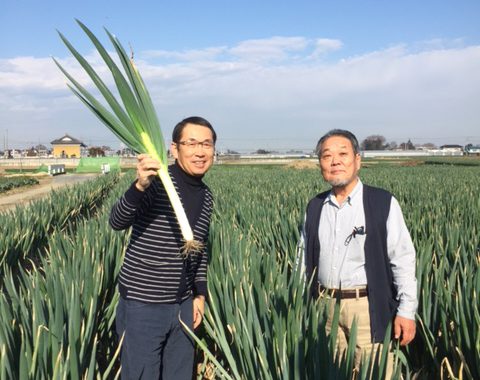 【松野貞文の全国視察レポート】埼玉編 精魂込めて栽培から加工・販売まで。株式会社あらきの「深谷ネギ」を公開しました