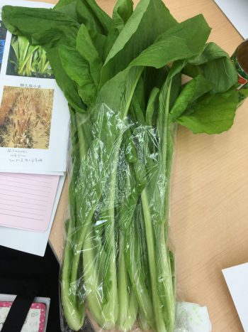 江戸東京野菜　青茎三河島菜