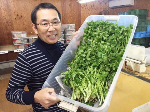 土での栽培にこだわったハーブとイタリア野菜「ポタジェガーデン」