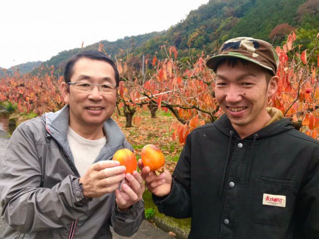 収穫の4割が規格外！？ 知る人ぞ知る！鳥取『花御所柿』