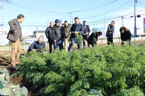 【所沢・東京野菜】「種・畑とテーブルをつなぐ」取り組み