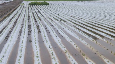 【第四報】令和2年7月豪雨による影響