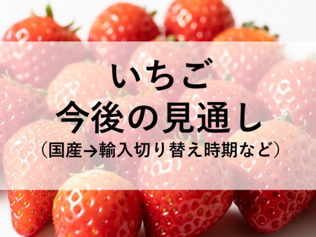 【6/9追記】いちご今後の見通し（国産→輸入切り替え時期等）