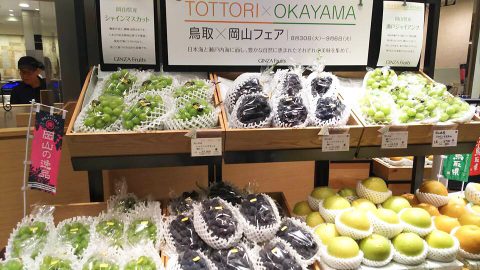 岡山県 ブドウ マスカット ピオーネ 試食販売