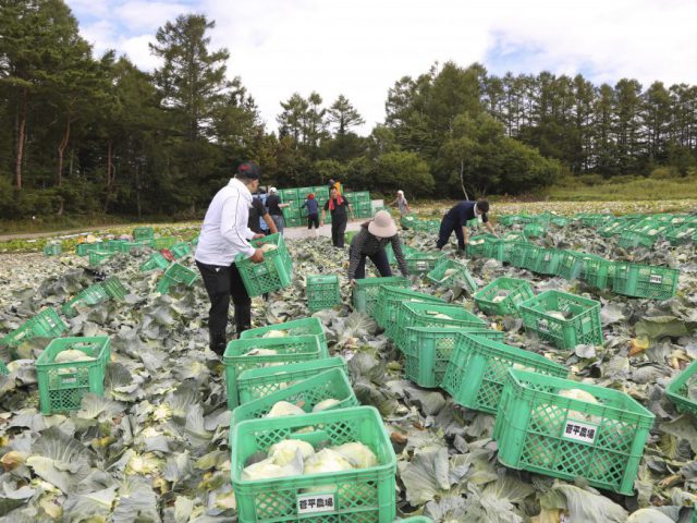 長野県菅平高原での農場研修にご案内