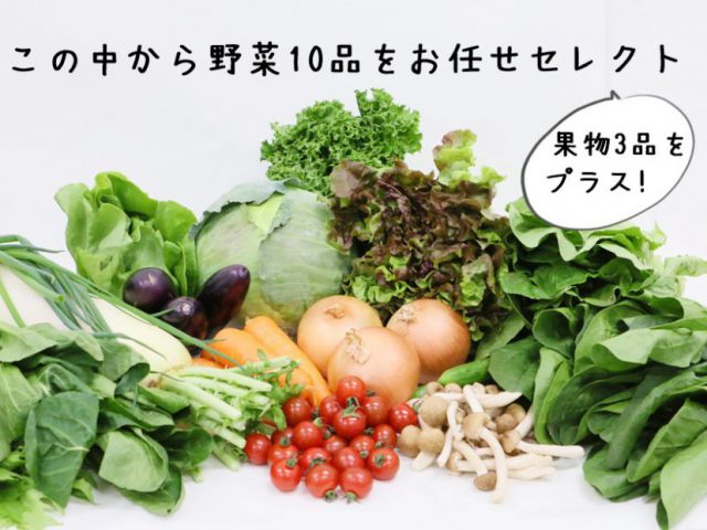 農家さん応援！野菜セット緊急特売