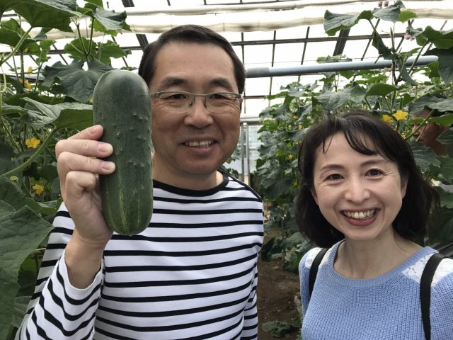 加賀野菜『加賀太きゅうり』と『金時草』