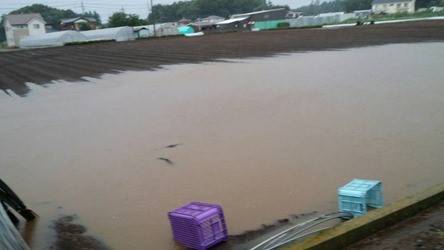 台風9号の被害