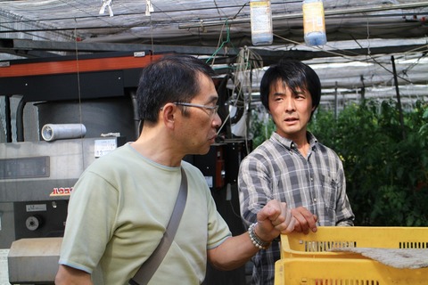 栃木・茨城のトマトの頼もしいつくり手(丸福農園、ファームアベタ)