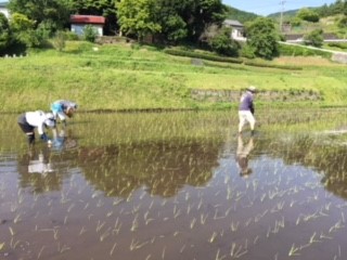 八百屋の台所_おむすび教室