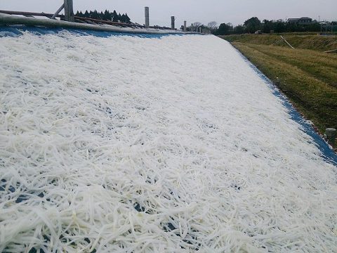 尾鈴の寒風干し「千切り大根」