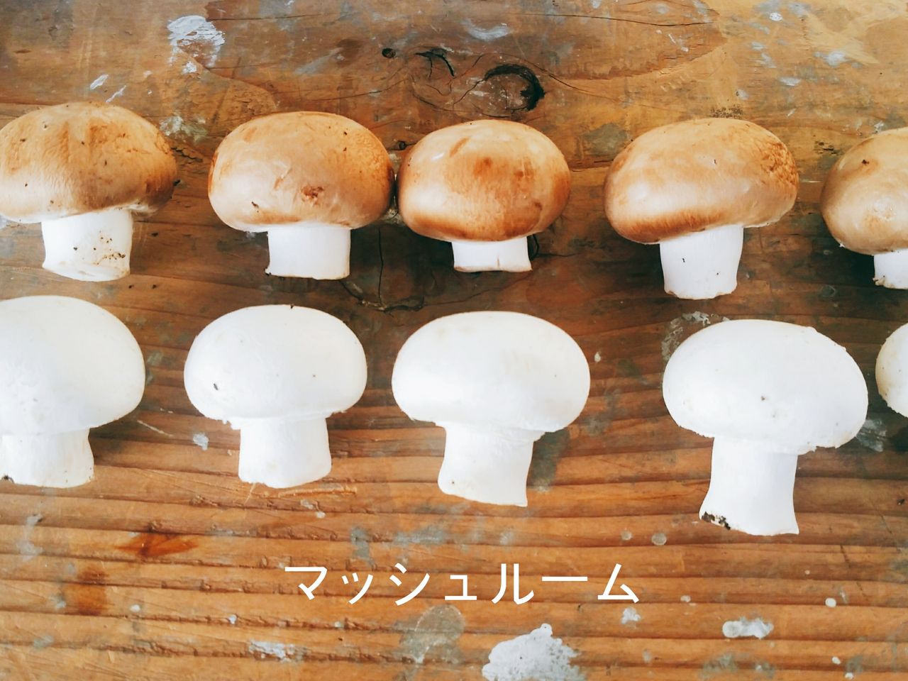 プロの料理人に愛されるマッシュルーム 株式会社まつの プロの料理人に愛されるマッシュルーム 株式会社まつの
