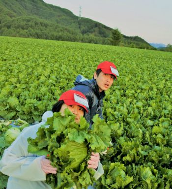 川上集荷センター