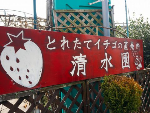 やまんねき 地域の新たな取り組み 株式会社まつの