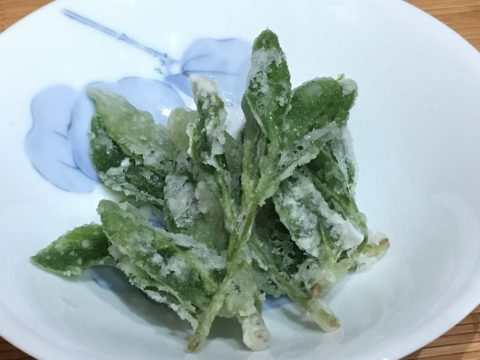 嬉野茶