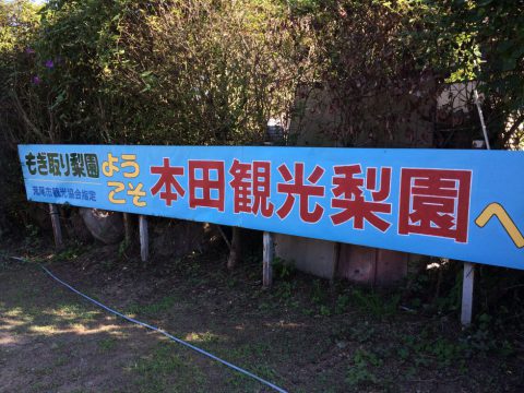 本田観光梨園