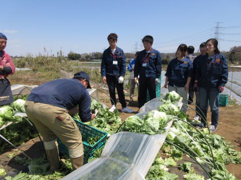 産地研修