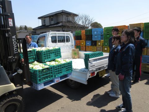 産地研修