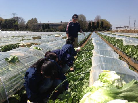 産地研修