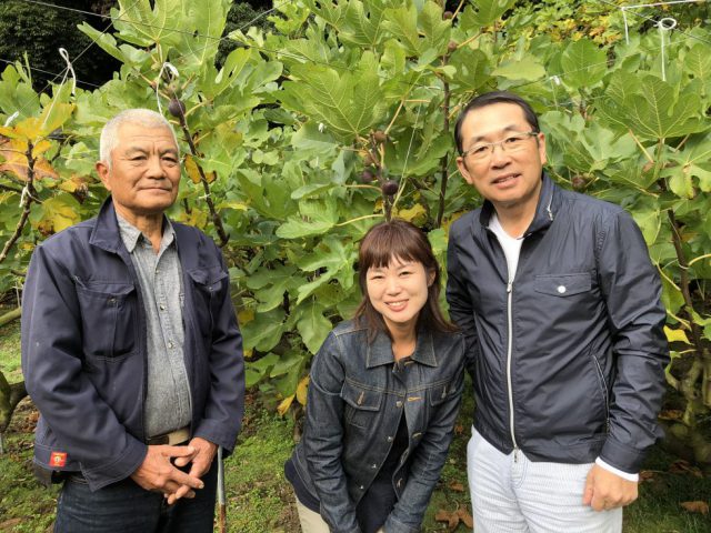 ８年の努力が実を結んだ、果汁あふれる「黒イチジク」