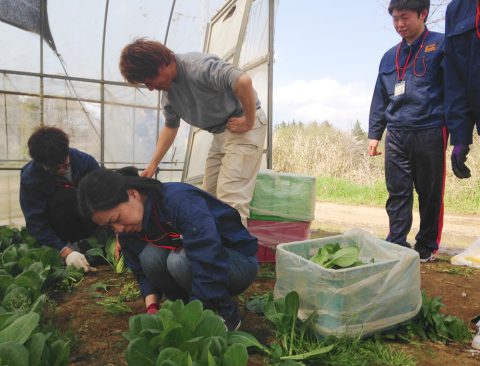 産地研修