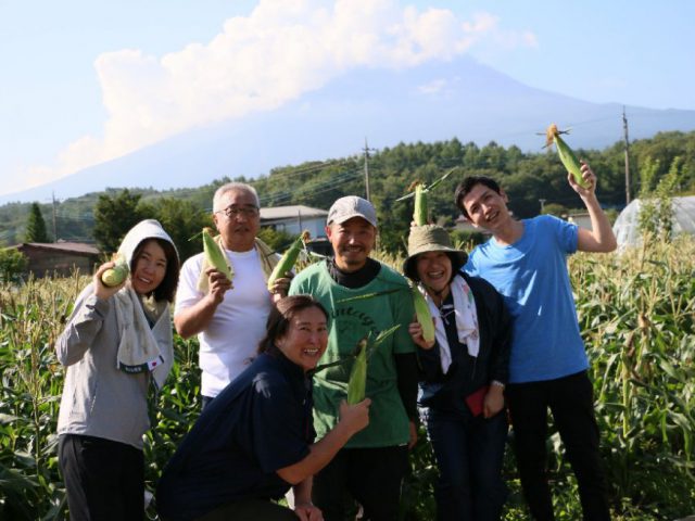 【ふるさと納税産直便】「富士山とうもろこし」1000本の収穫を応援｜提携産地レポート更新