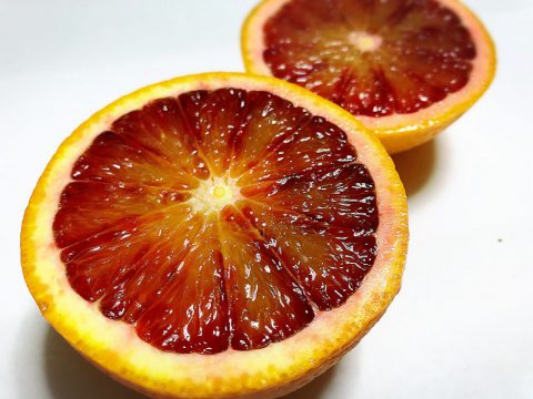 ブラッドオレンジ　モロ