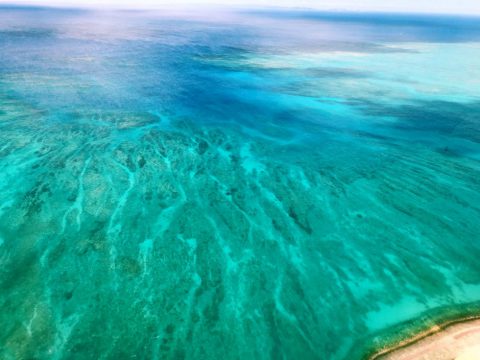 沖縄の海