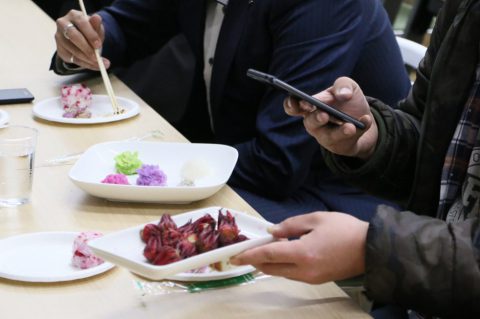 まつの旬野菜勉強会