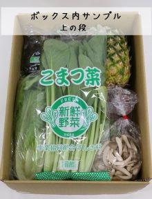 農家さん応援！野菜セット緊急特売