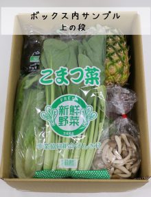 農家さん応援！野菜セット緊急特売