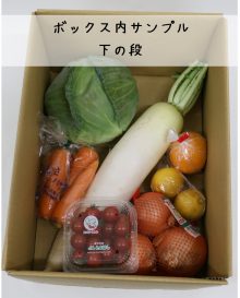 農家さん応援！野菜セット緊急特売