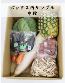 農家さん応援！野菜セット緊急特売