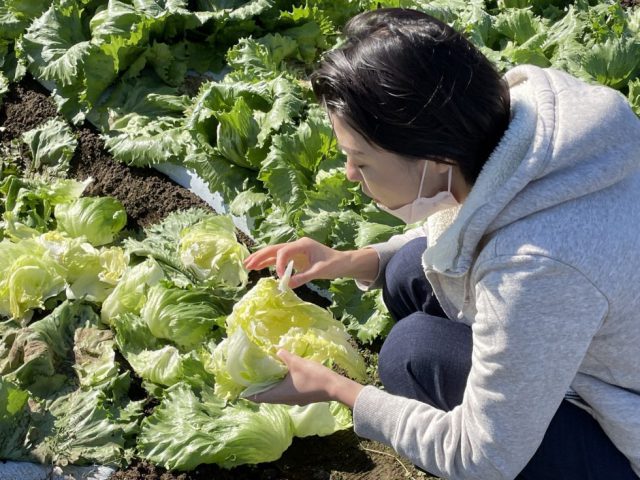 NO.19　捨てないためにできること。茨城県 四季菜くらぶ様の視察レポート