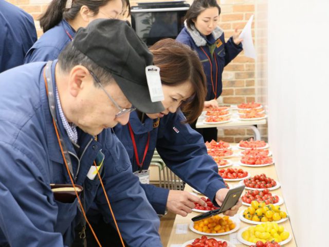 まつの幸せ野菜ボックスアイテム選定「トマト23種品評会」を行いました