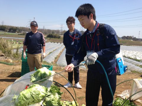 産地研修