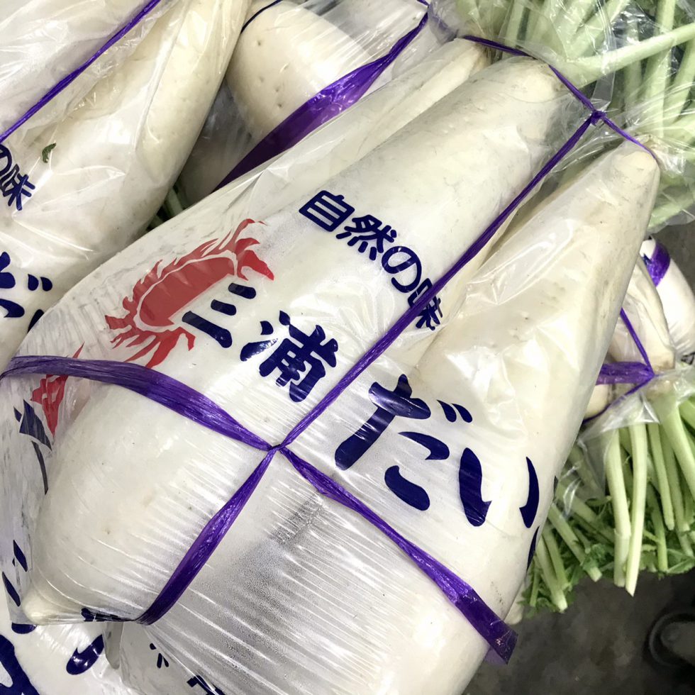三浦大根 | 株式会社まつの