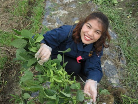 野菜くらぶ収穫祭