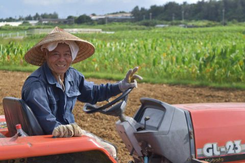 田芋農家　徳次郎さん