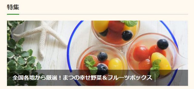 まつのべジフルサポータージャーナル