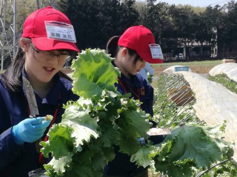 四季菜くらぶ新入社員研修