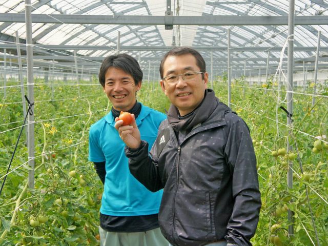 太陽の光をたっぷり浴びて育つ「光樹とまと」