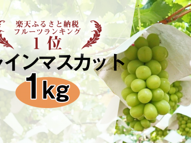 楽天ふるさと納税ランキング第1位獲得！【富士吉田市ふるさと返礼品】