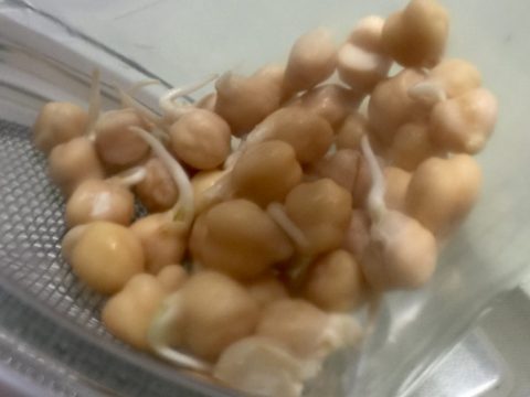 発芽豆
