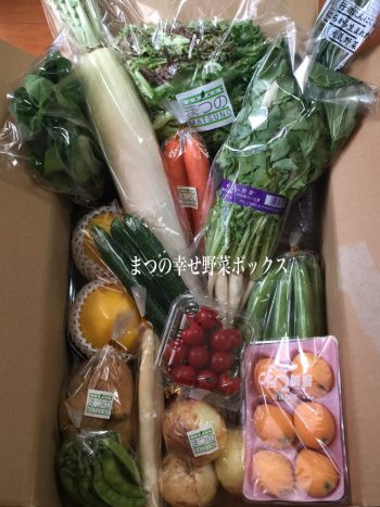 まつの幸せ野菜ボックス